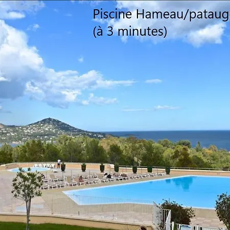Le Rêve D'azur *